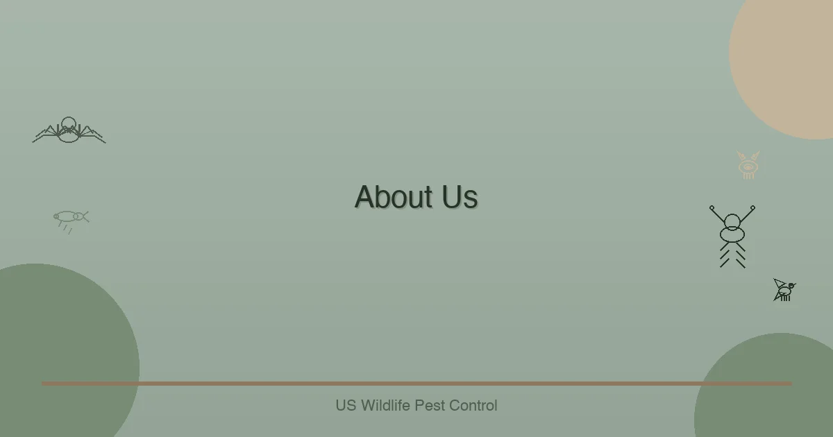 About Us