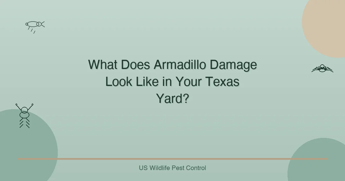 What Does Armadillo Damage Look Like in Your Texas Yard?
