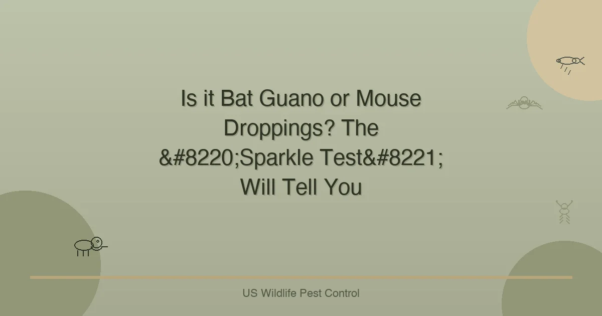 Is it Bat Guano or Mouse Droppings? The “Sparkle Test” Will Tell You
