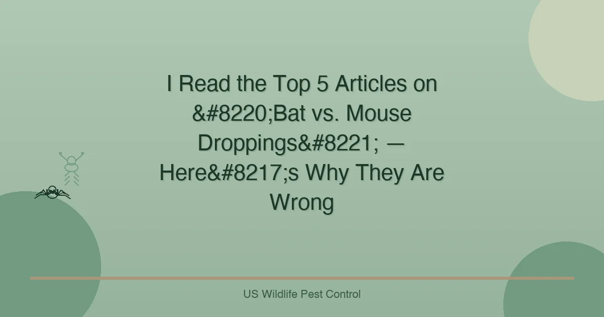 I Read the Top 5 Articles on “Bat vs. Mouse Droppings” — Here’s Why They Are Wrong
