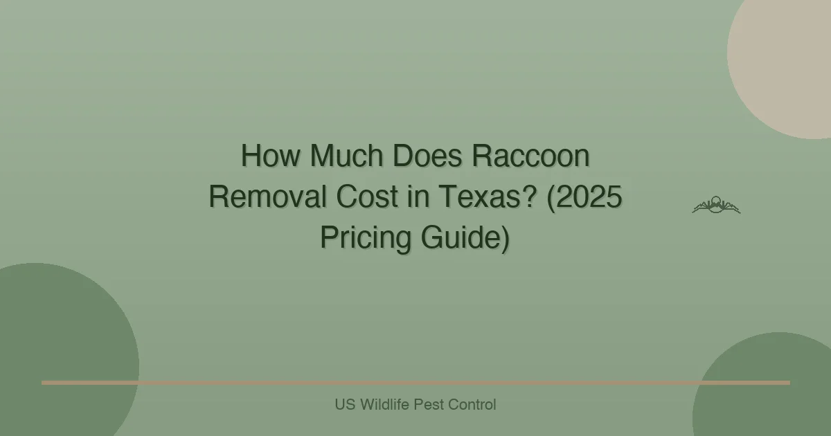 How Much Does Raccoon Removal Cost in Texas? (2025 Pricing Guide)