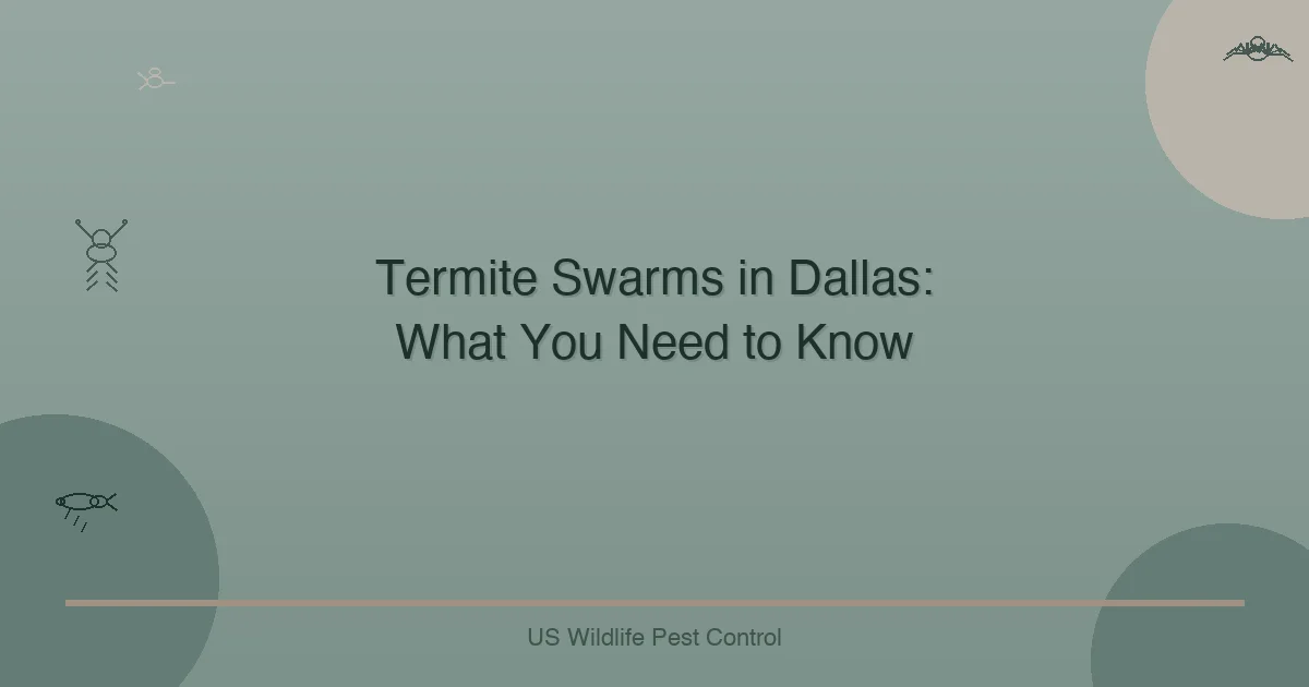 Termite Swarms in Dallas: What You Need to Know