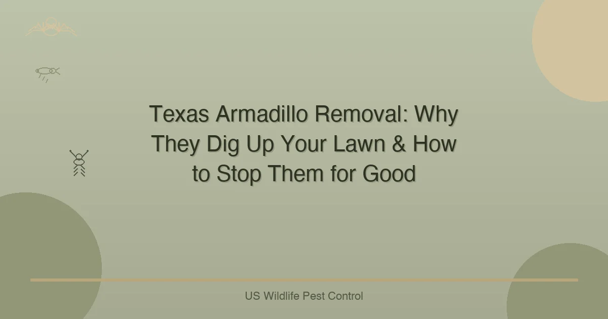 Texas Armadillo Removal: Why They Dig Up Your Lawn & How to Stop Them for Good