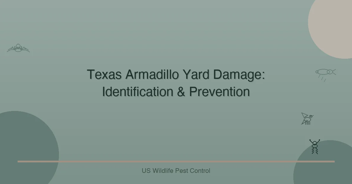 Texas Armadillo Yard Damage: Identification & Prevention