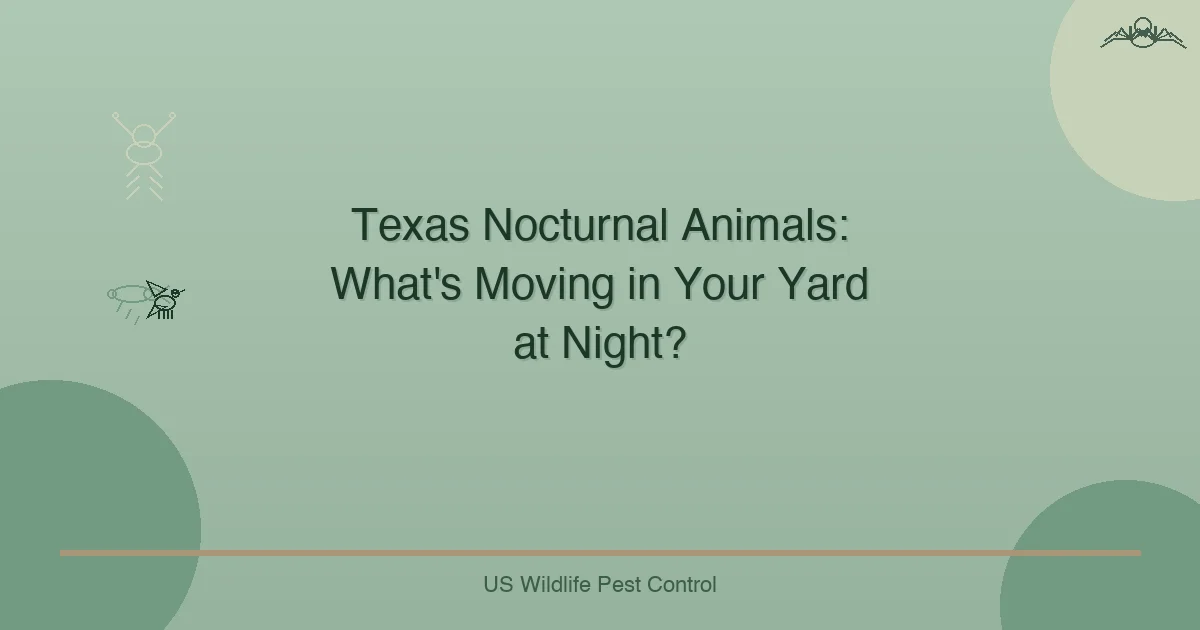 Texas Nocturnal Animals: What's Moving in Your Yard at Night?