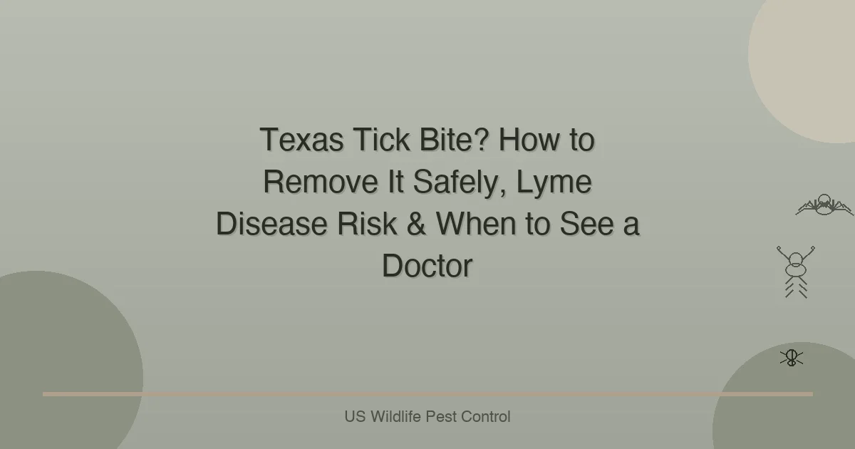Texas Tick Bite? How to Remove It Safely, Lyme Disease Risk & When to See a Doctor