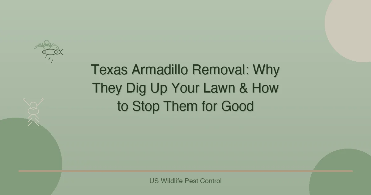 Texas Armadillo Removal: Why They Dig Up Your Lawn & How to Stop Them for Good
