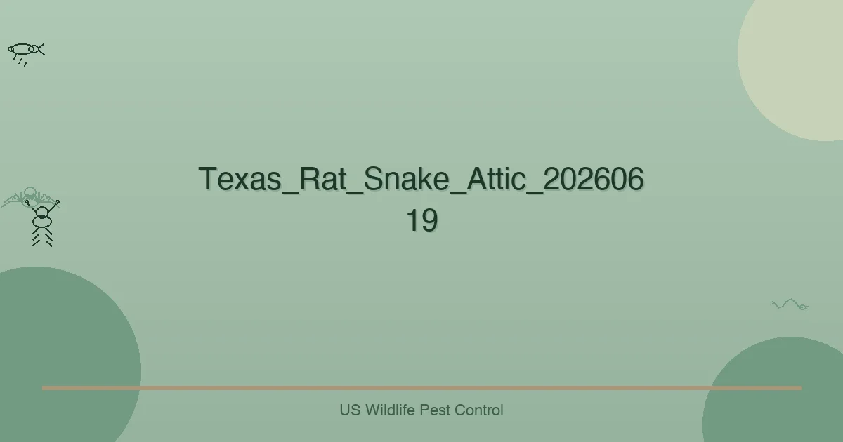 Texas_Rat_Snake_Attic_20260619