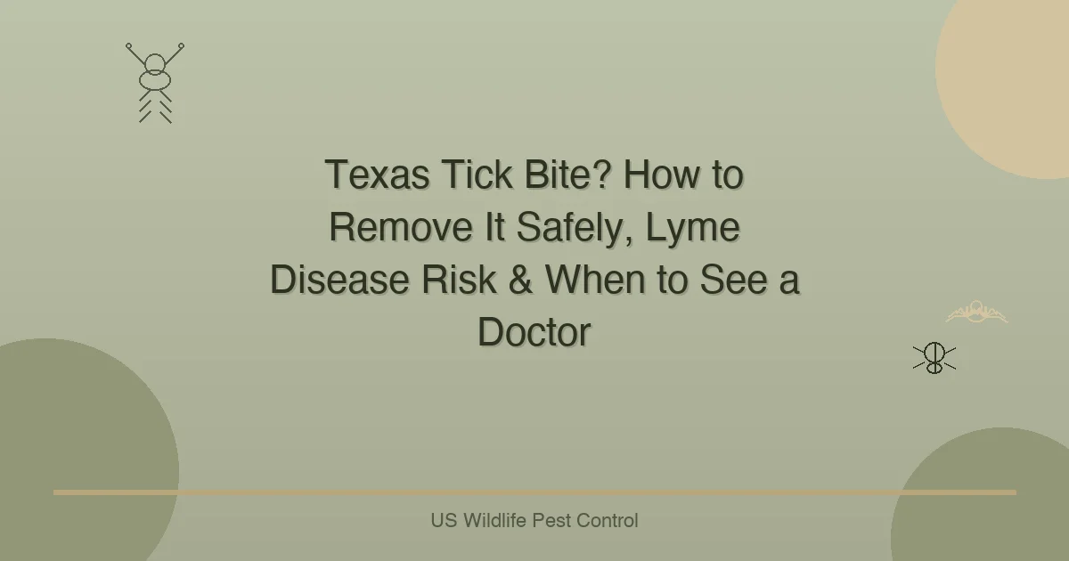 Texas Tick Bite? How to Remove It Safely, Lyme Disease Risk & When to See a Doctor