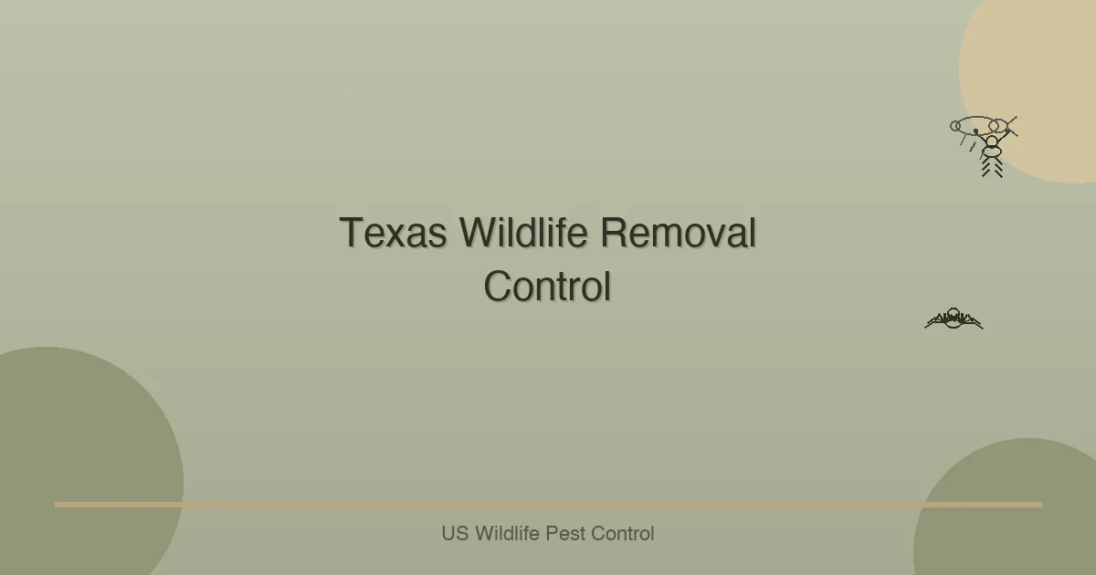 Texas Wildlife Removal  Control