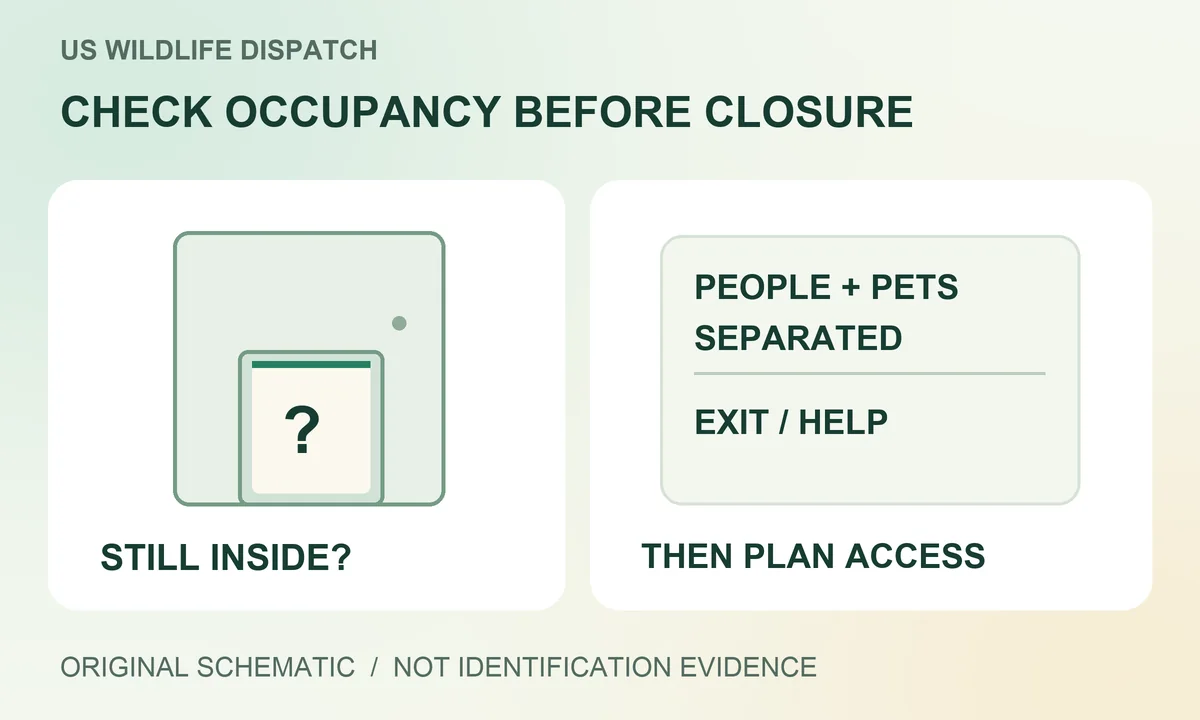 Raccoon Through the Pet Door? What to Do Before Locking It